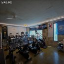 노익스큐즈 이미지