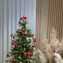 미르한의원 이미지