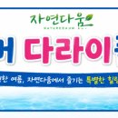 고창황금민박 네이버블로그