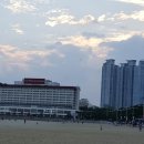 대명 합동 행정사 이미지