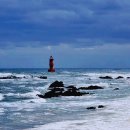 감성시티투어 | 동해 시티투어버스 찐 후기｜짐 보관 후 반나절 코스 이용 방법