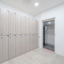 민들레애견 이미지