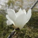 이여라