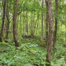 운수사 | [미지정] 운수사 부도탑 1,2