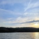 칠곡양떼목장 이미지