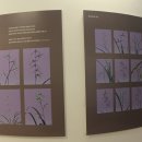 제주의 한란 이미지