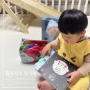 숨쉬는 돌 | 출산 아기 돌 선물 추천 블루래빗 토이북 전집 3개월 후기