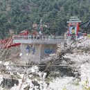 무릉도원 이미지