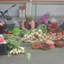 함양토종약초시장 이미지