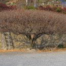 자산동167 이미지