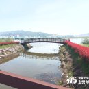 낙동강하천공원주차장 이미지