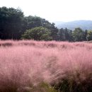 가산수피아 이미지