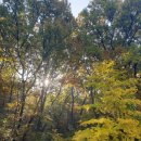 다산솔농장 이미지