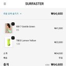 스타의류 | [상품. 스포츠 의류] SURFASTER 서패스타 여성, 아동 수영복(RB, TB) 구입 후기