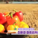 남승민농장 티스토리