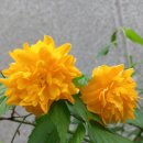 오늘도땡큐 이미지