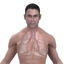 체담한방병원 이미지