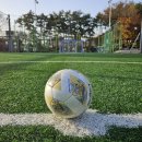 구 | AFC 공식구 몰텐 풋살공 후기