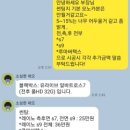 제니스랩핑PPF