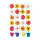 데이지 하우스 이미지