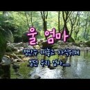 울엄마 Daum카페