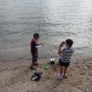 비치조아 이미지