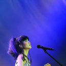 꿈꾸는 나비 이미지