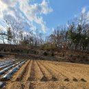 은현농장 이미지