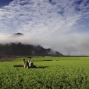 자라농장 이미지