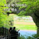 석문세천1 | 충북 단양 여행지 도담삼봉 석문 가는 방법 주차장 유람선 꿀팁