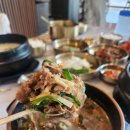 서울깍두기 이미지