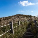 삼거리상회 이미지