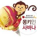 나뚜루 - 동구 안심로 80 | 나뚜루