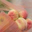 북평우시장 | 베트남 사파 여행 박하 일요시장 당일투어