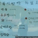 거북이민박 이미지