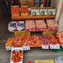 풍년청과 이미지