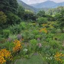 나의 정원 이미지