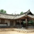 하정제 이미지