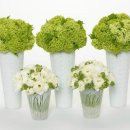 이레가든 이미지