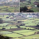 올레캠프본점알파캠프 이미지