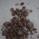 Dr.DOG 동물의료센터 이미지