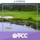 승주태양광 이미지