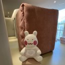 퓨리티 | [김해 피부관리샵] 뽀슌 에스테틱 '퓨리티' 관리 후기