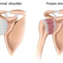 서울마디튼튼재활의학과의원 이미지