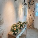 꽃싸부플라워디자인전문학원 | 🌼 꽃싸부 플라워디자인전문학원플라워 기초샵(꽃다발·꽃바구니) 과정 현장 스케치