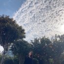 스테이비갠오후 이미지