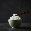 하루세끼 네이버블로그