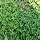 놀골농장 이미지