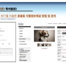 한국데이터공인인증원 이미지