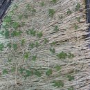 충대농약사 이미지